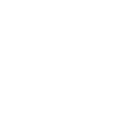 Main Logo Icon